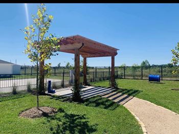A small tree is planted in a brown circle of dirt under a wooden pergola.
